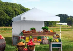 10x10 ft. Backyard Shade Commercial Straight Leg Pop-Up Canopy Tent