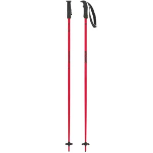 Amt Ski Poles