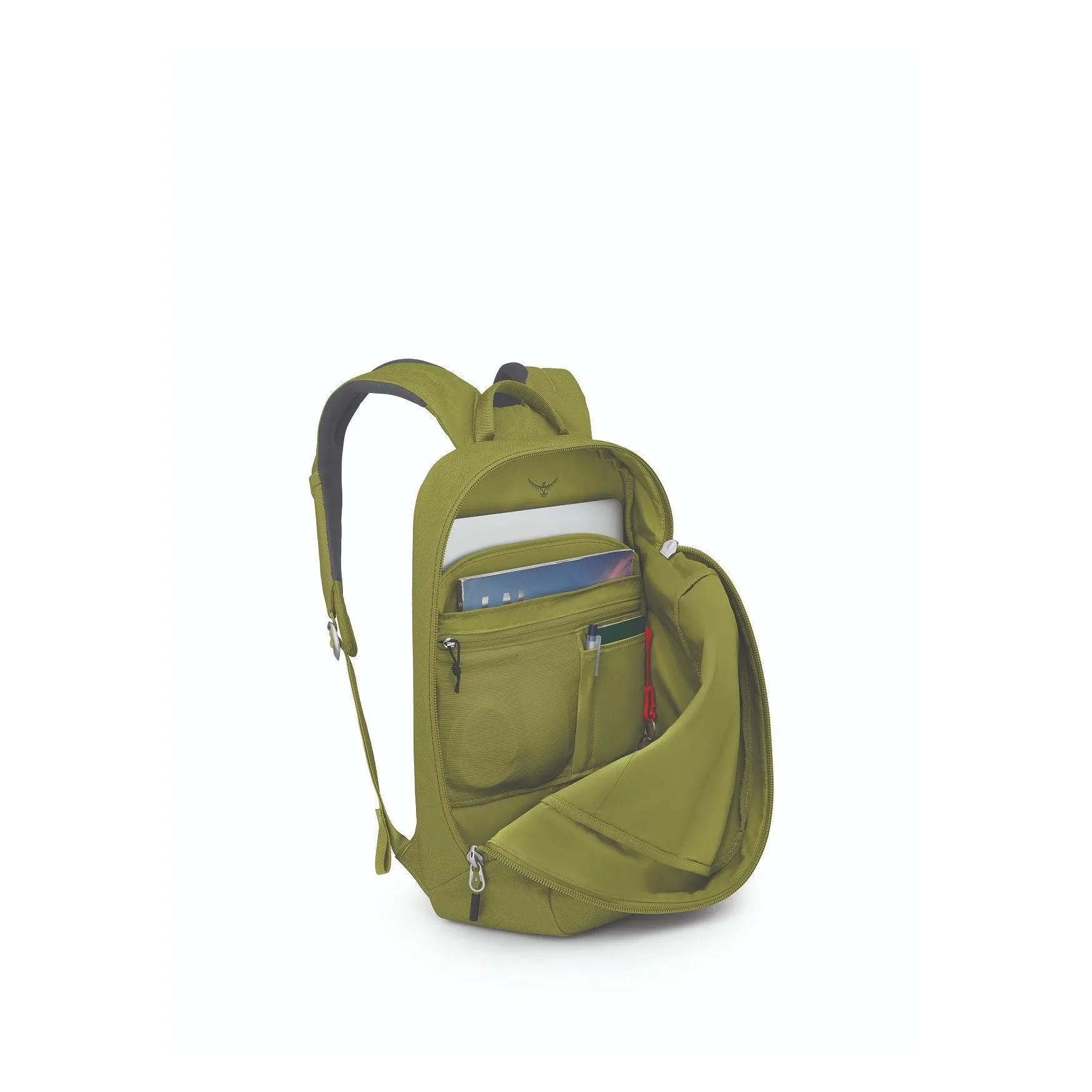 Arcane Large Day Pack 20