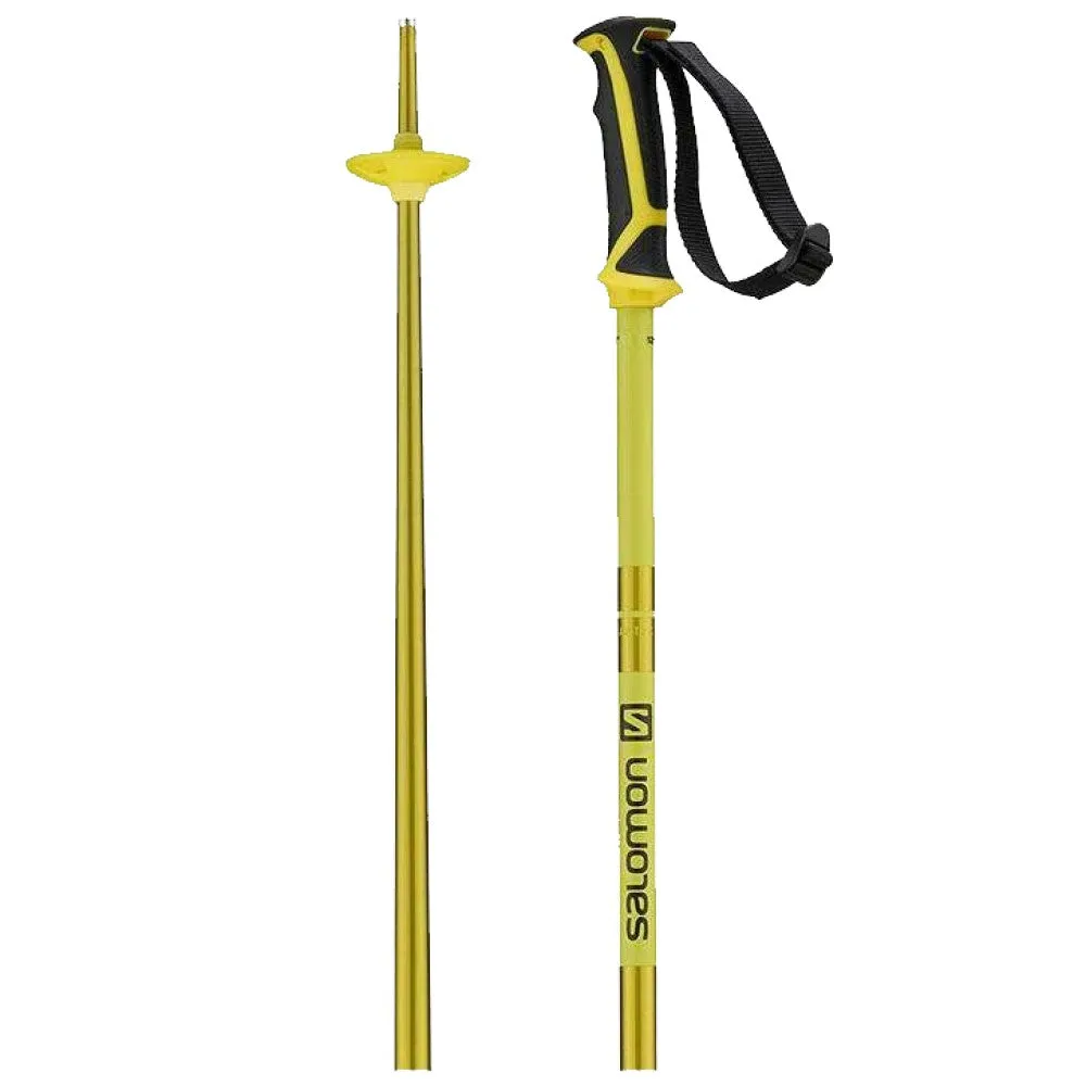 Arctic Ski Poles