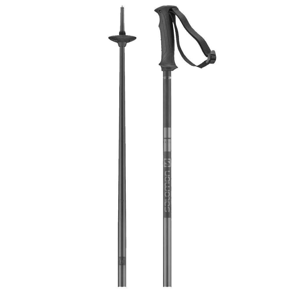 Arctic Ski Poles