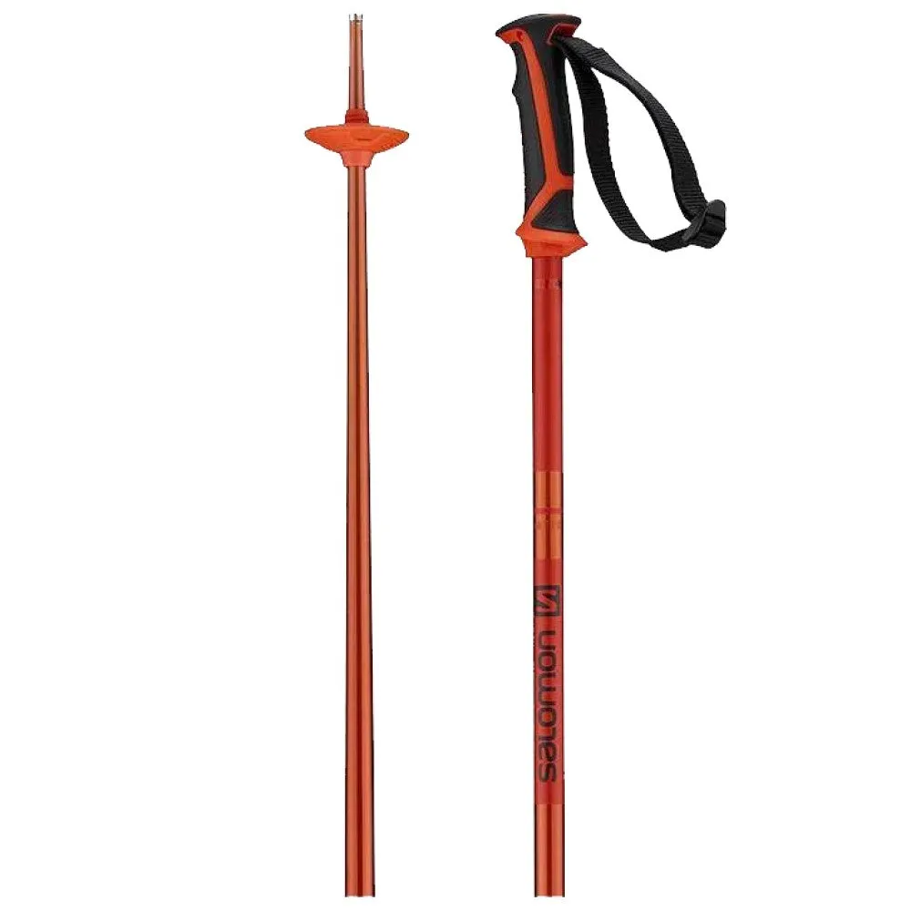 Arctic Ski Poles