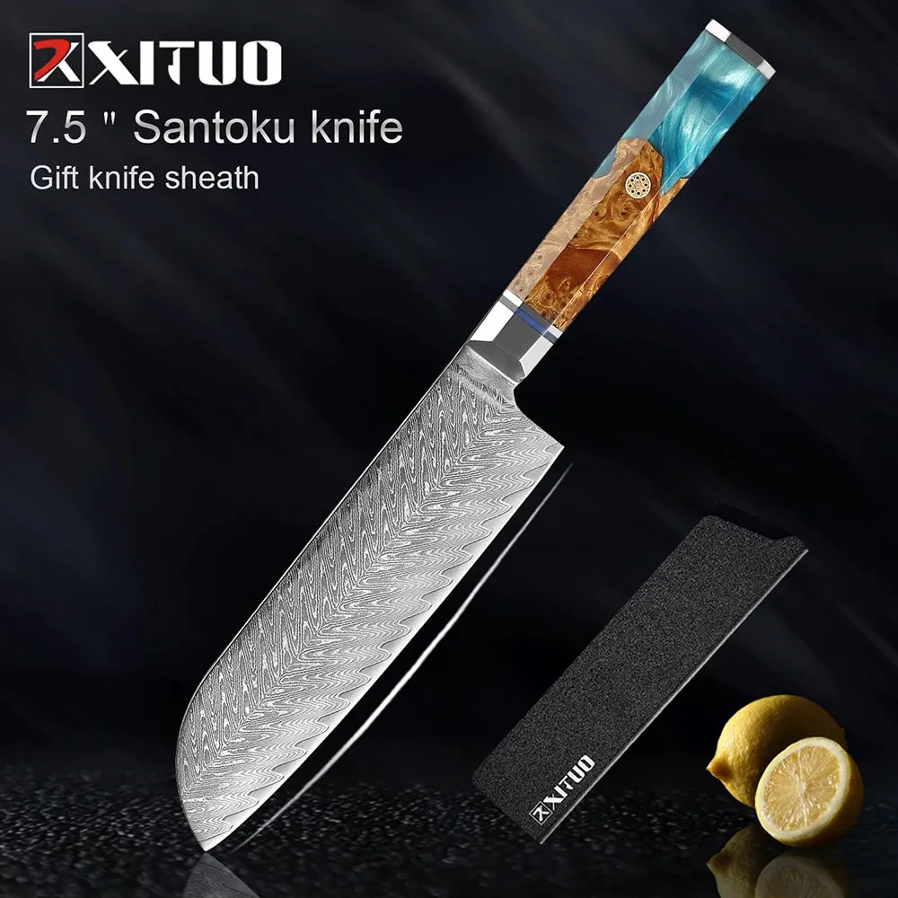 Damascus Premium Knives 1-9 PCS Japanese Kitchen Knife Set VG10 Steel Core Ultra-Sharp Professional Chef Full Tang Handle