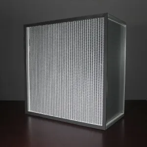 HEPA FILTER 23 3/8 x 23 3/8 x 12 (11.5) 1000CFM Downstream