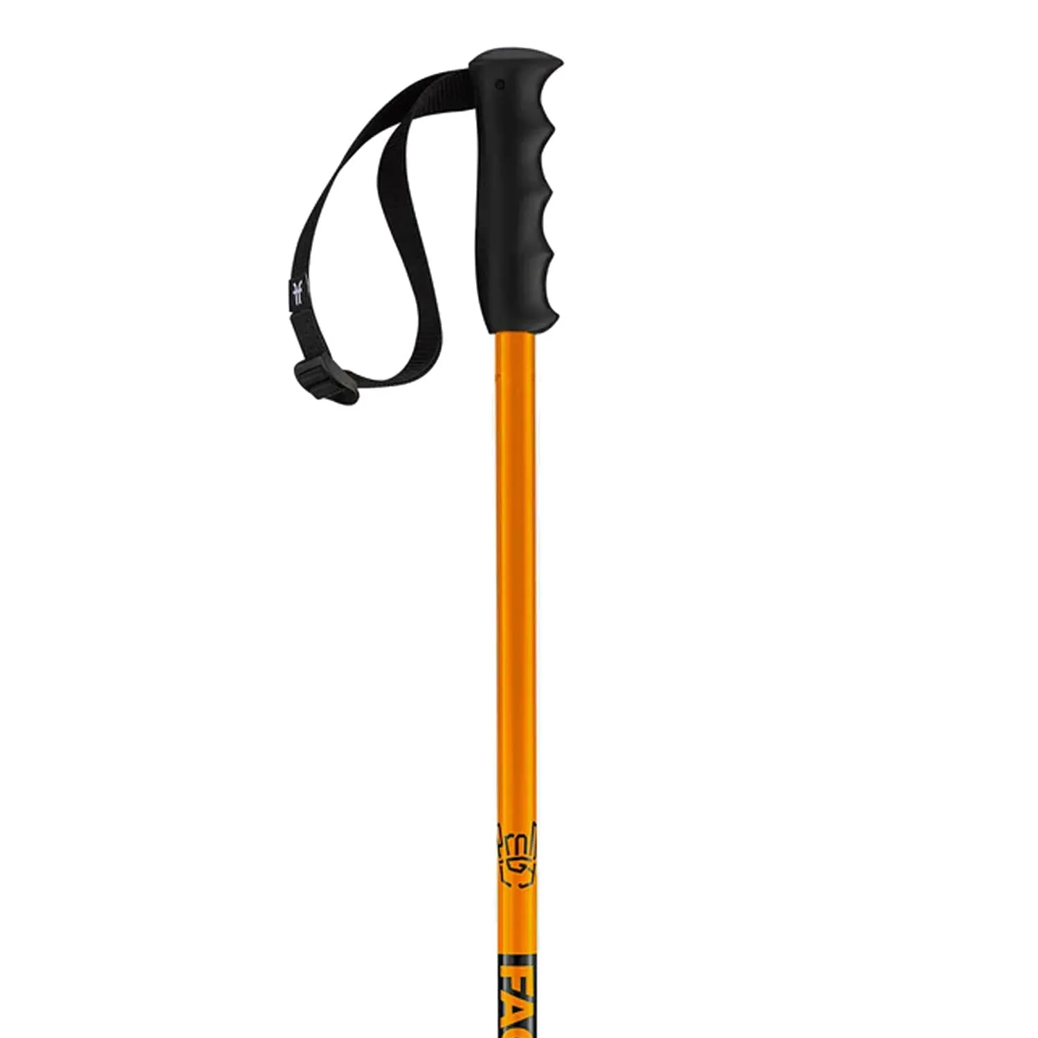 Prodigy Ski Poles 2025