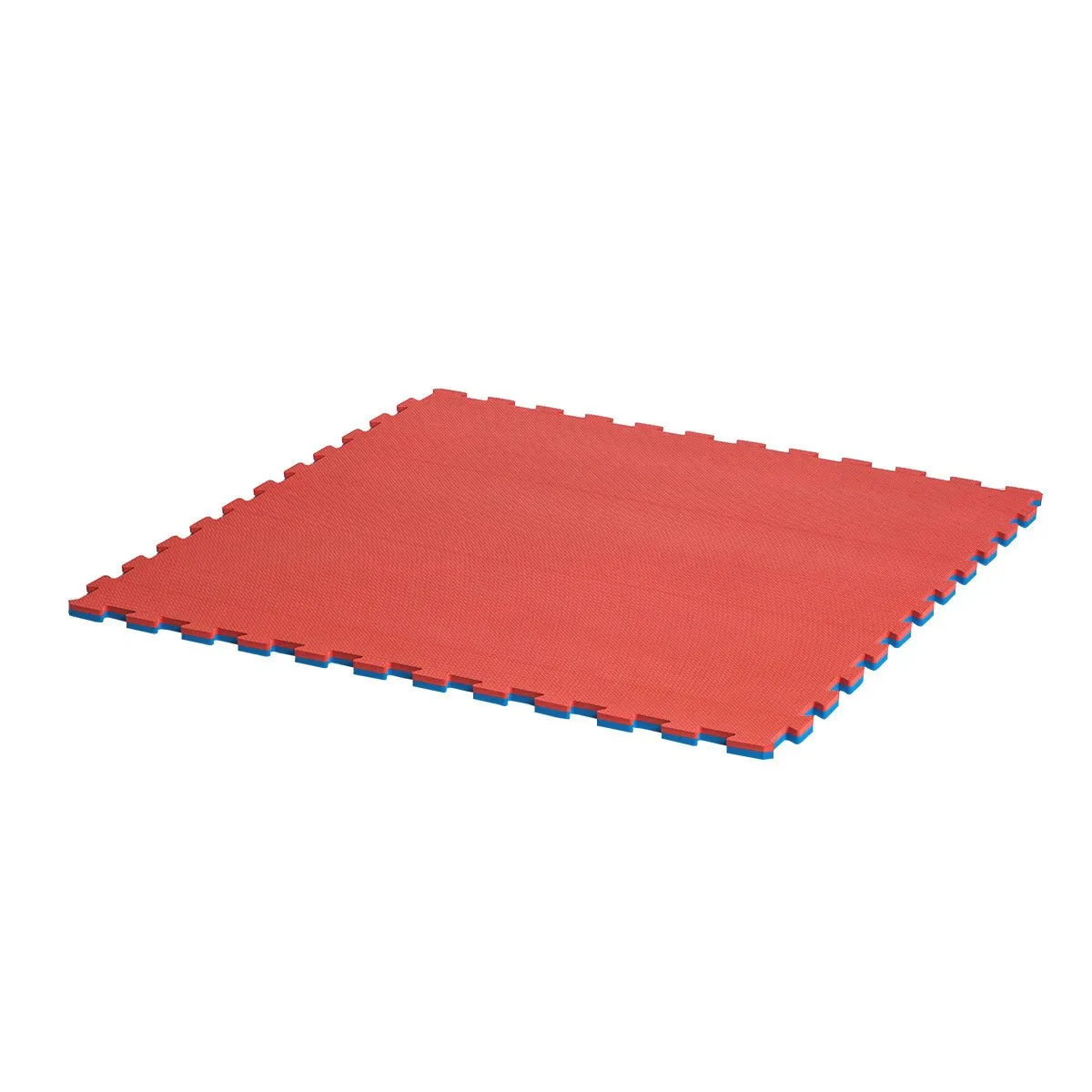 Reversible Puzzle Mat