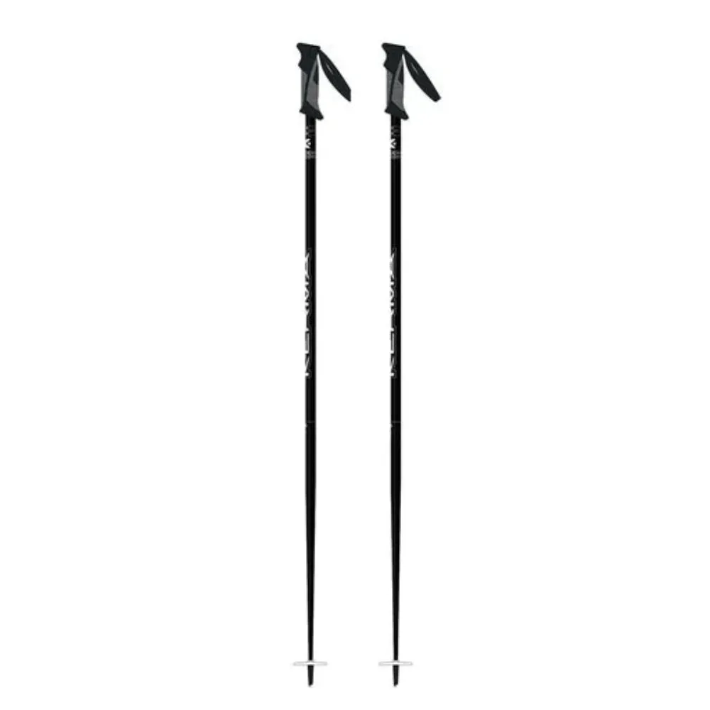 Speed Team Ski Poles - Kids