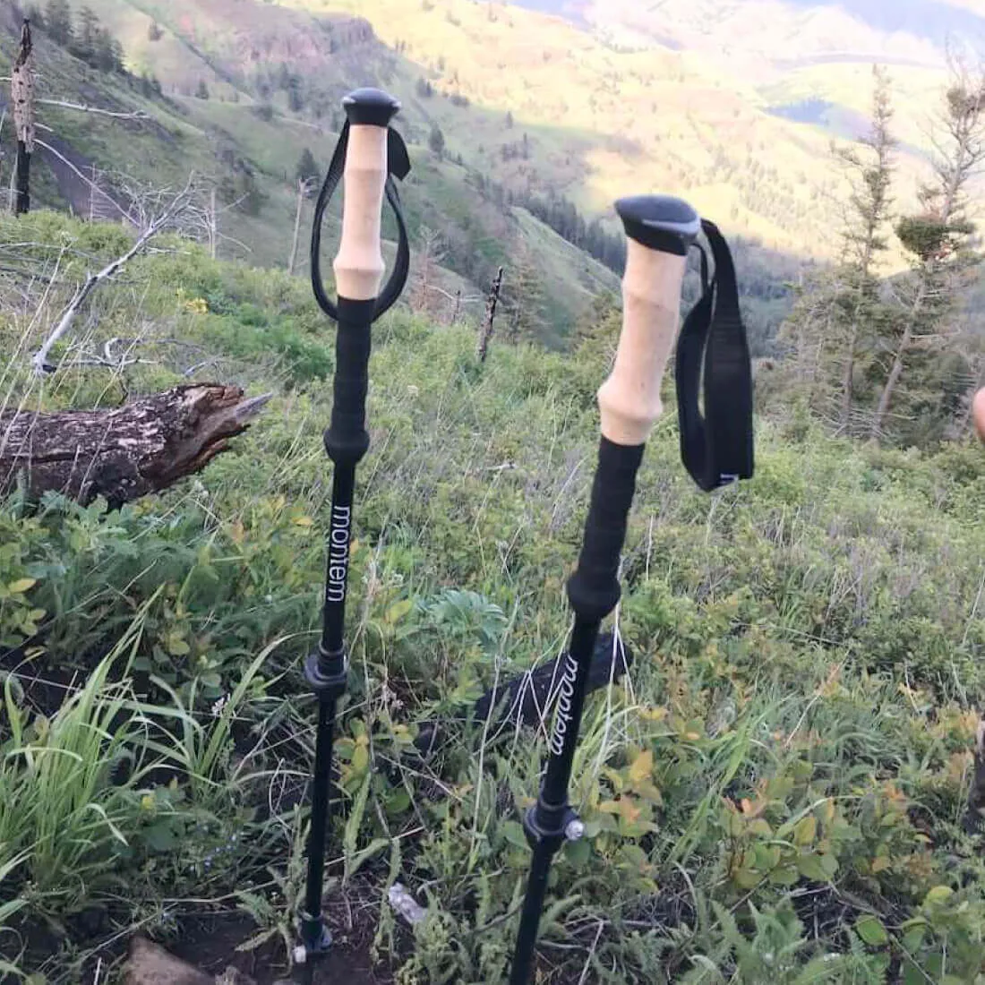 Ultra Light 100% Carbon Fiber Trekking Poles